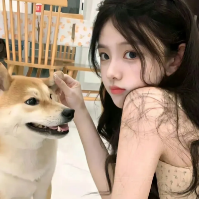 海鸥来过的房间