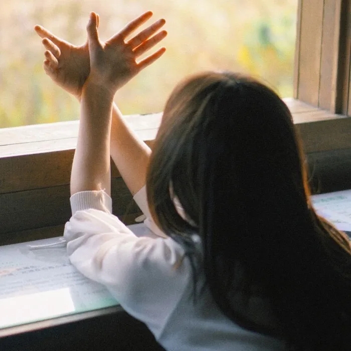 所罗门的伪证后篇：审判