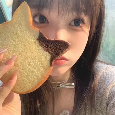 我的人格合租屋